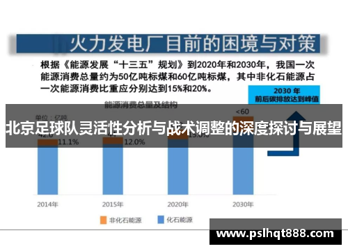 北京足球队灵活性分析与战术调整的深度探讨与展望